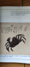 海错图笔记 青少版 张辰亮 著 赠送超大幅物种探查图谱 无穷小亮 科普读物 中国国家地理 2020年中小学阅读目录推荐 中信京东超级618 实拍图