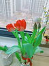 耘淘郁金香种球水培5度球花卉绿植种子土培植物水养盆栽室内室外耐寒 面纱 神秘范伊克5球+2包肥料 实拍图