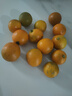 探味君 广西脆皮小金桔 应当季脆蜜滑黄皮小金桔橘桔子融安新鲜水果 净重2.8-3斤 中果（约45个/斤） 实拍图