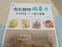 色彩静物临摹卡8开临摹范本水粉起步入门基础教程创意卡片对画照片写生技法美院联考高考画册集 晒单实拍图