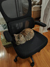 南皇电脑椅子人体工学椅护腰久坐办公室职员会议写字椅靠背升降转座椅 分离升降白-收纳扶手-4级气杆 120-155度(含) 可旋转可升降扶手 -双背升降腰托 实拍图