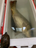 达亿瓦（DAIWA）25款日本进口水滴轮微物大物泛用远投路亚轮淡海钓鱼轮 25款STEEZ LTD CT SV【8.5速比】 左手型 晒单实拍图