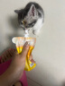 小毛豆happy酱 成猫幼猫主食酱包猫湿粮主食餐包猫主食包营养湿粮 【鸡肉配方】 60g*6包 实拍图