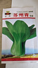 蔬菜种子大全黄瓜菠菜小白菜花卉四季蔬菜简单种植菜园阳台种植 苏州青种子20克 实拍图