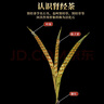 养益君肾精茶50g又名化石草肾经草 泡水喝野生肾精草长白山嗷嗷叫黄金草 实拍图