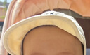 尼多熊儿童帽子宝宝棒球四季韩版鸭舌帽男女童婴儿帽春秋遮阳帽 卡其 S 实拍图