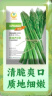 凤鸣雅世芦笋种子四季多年生阳台盆栽蔬菜子京绿芦3号芦笋种子10粒 实拍图