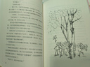 当当正版童书 窗边的小豆豆 黑柳彻子著 儿童文学小学生课外阅读书籍 窗边的小豆豆成长套装（全2册） 实拍图