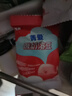 贝因美菁爱酸奶溶豆强化钙锌宝宝儿童零食益生菌溶豆20g 草莓味 实拍图