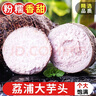 探味君 广西荔浦大芋头 现挖粉糯大香芋 新鲜蔬菜 3斤净重2.8斤 大芋（单果400g起） 实拍图
