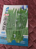 【京东物流】蔬菜种子四季播盆栽阳台庭院香菜生菜菠菜简单秋易种 油麦菜种子1包约1000粒 实拍图