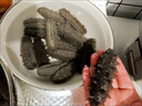獐子岛 大连有机淡干海参50g 16-20头 辽刺参 海鲜水产南北干货送礼礼盒 实拍图