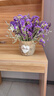 爱满（AIMAN）云南鲜花干花花束勿忘我情人草组合满天星客厅真花插花家居摆设 紫色勿+草【含圆花篮】 实拍图