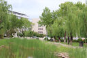 佳能（Canon） EOS 200D二代 200d2代单反相机入门单反vlog迷你单反数码照相机 200DII白拆单机+YN50 1.8人像镜头套装 套餐一【含64G内存卡~送豪华摄影大礼包】 实拍图