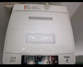 Haier/海尔洗衣机波轮神童6.5公斤洗衣机全自动小型家用租房宿舍 智能称重量 桶自洁 以旧换新 【新品】7.2小神童一级能效浸泡洗+桶自洁 实拍图
