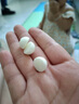 巧莱宝溶豆24克 双拼高钙溶溶豆多口味溶豆豆入口即化速溶小零食 双拼溶豆4种各1罐 实拍图