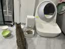 CATLINK自动喂食器猫咪定时定量智能宠物猫粮狗粮不卡冻干投喂器远程控制 喂食器标配版+UF超滤净水机 实拍图