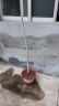玉兰花树苗四季开花大型庭院红黄白紫玉兰树苗广玉兰花苗绿化苗木 紫玉兰 2cm粗【1.2-1.3米高带土球发货】 实拍图