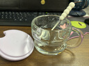 可爱早餐杯带盖勺把手玻璃杯燕麦杯豆浆酸奶杯女 【紫色】晨曦早餐杯 450ml 1只 450ML 实拍图