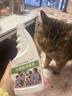 BOXCON食品级次氯酸消毒液宠物专用猫咪狗狗除臭杀菌消毒喷雾2.5L大桶装 2500ML*1桶【喷壶+漏斗一套】 宠物消毒液【安全无毒】 晒单实拍图