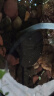 悠梵萌鱼缸小水泵水循环鱼缸抽水泵迷你8W水泵可调流量+2.5米水管 实拍图