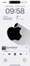 Apple/苹果 iPhone 16 Pro Max（A3297）256GB 黑色钛金属 支持移动联通电信5G 双卡双待手机 晒单实拍图
