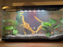 喜高超白玻璃鱼缸智能鱼缸免换水小型客厅水族箱一体式过滤氧气鱼缸 黑色-鱼缸+造景 485*225*283mm 实拍图