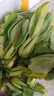 皓谦上海青小油菜新鲜蔬菜小青菜绿叶菜小白菜 农家自种蔬菜类小青菜 3斤 实拍图