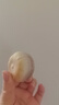 0蔗糖手工冰皮绿豆饼红豆饼冰淇淋绿豆饼紫薯芋泥饼传统营养糕点 冰淇淋芋泥饼1盒10枚300g 实拍图