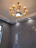 韵钰欧式吊灯客厅灯奢华水晶灯现代简欧网红餐厅卧室灯具套餐三室两厅 花开富贵10头-配全光谱三色光源 实拍图