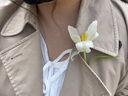 MUJI女式 弹力罗纹编织背心 上衣内搭打底 25年夏季女装女款 BB2ROA5S 米白色 XL (165/92A) 实拍图