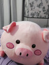 赟娅飞天猪毛绒公仔长条抱枕小猪布娃娃陪睡玩偶床上夹腿专用沙发靠枕 【圆眼款90厘米】独立内胆可拆洗 实拍图