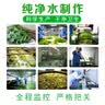 陇浆源浆水甘肃天水特产自制蒲英芹菜浆水降暑美食小吃地方美味家乡味道 蒲公英+芹菜+包菜浆水600g*8包 实拍图