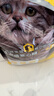 威尔逊馋嘴 流浪猫粮成猫幼猫粮专为流浪猫定制的猫粮 基础款5斤 实拍图