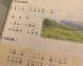 【新华书店正版】新版小学4四年级下册人教版语文数学英语三起点全套3本教材课本四4年级下册语文数学英语教科书四下语数英语PEP教科书 实拍图