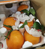 生活＆好管家 四川春见耙耙柑爆浆大果新鲜水果礼盒应季橘子现摘柑橘子桔子 3斤【尝鲜装】净重3斤 果径80-85mm【大果】 实拍图