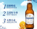 福佳福佳（Hoegaarden）比利时风味精酿啤酒 330ml瓶装 白啤酒 福佳 尝鲜装 330mL 6瓶 实拍图