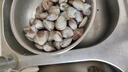 鲜活蛤蜊海捕无沙新鲜花甲贝类生鲜花蛤超大美贝蚬子海鲜水产顺丰 鲜活共3斤（2斤送1斤） 实拍图