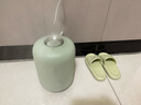 飞科（FLYCO）加湿器卧室空气桌面加湿器婴儿孕妇小型家用加湿器落地智能办公室客厅轻音 FH9213【4L绿色】 实拍图