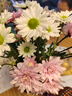 钟爱（love）云南昆明鲜花基地直发红玫瑰花斗南直批家庭水养玫瑰花活动 混色小雏菊5枝 实拍图