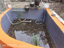 沃特浦鱼池屋顶防水涂料补漏材料水池专用卫生间漏水胶防漏王长期泡水漆 【水泥色】 4斤 环保+送2斤打底胶 实拍图