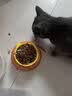 瓜洲牧小鱼干猫咪零食宠物无盐幼猫增肥补钙磨牙猫粮河虾冻干多春鱼 大桶囤货【升级款半桶装500g】 实拍图