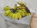 网红小米蕉 自然熟 软糯香甜水果 6号色食用最佳 原生态网红小米焦 5斤 实拍图