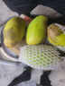 【花皮介意慎拍】正宗新鲜芒果软糯香甜现摘时令水果半熟发货 带箱1斤【单果100g+】 实拍图
