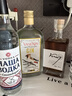 加兰帕斯威士忌白兰地朗姆酒金酒伏特加调酒基酒调酒微醺五支组合套装 实拍图
