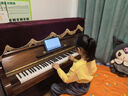 YOUNGCHANG英昌韩国原装进口二手钢琴家用立式钢琴考级成人儿童初学演奏U121英昌钢琴 U121FB性价款【高121 柚木色-初学考级】 实拍图