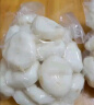 沃鲜谷【顺丰】新鲜马蹄  新鲜去皮荸荠大果 现挖马蹄水果 新鲜蔬菜 500g*2袋 中果【健康无添加】 实拍图