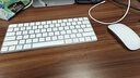 Anskp 适用苹果鼠标无线妙控三代蓝牙MacBook Pro笔记本电脑air/ipad平板可充电 苹果键盘鼠标套装【升级定制丨舒适手感】 适用二三代无线鼠标Mouse可充电配件 实拍图