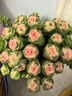 绿族（LVZU）花盆轻奢风金色大理纹陶瓷盆办公室多肉君子兰兰花绿植盆栽带托盘 实拍图