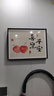 柳莺花燕免打孔电表箱装饰画现代简约客厅餐厅挂画电闸箱配电箱遮挡壁画 喜乐平安 45X35遮挡35X25表箱 上掀款 实拍图